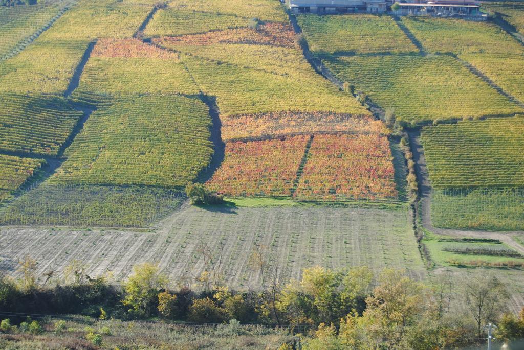 Agriturismo I Grappoli Serralunga d'Alba Luaran gambar