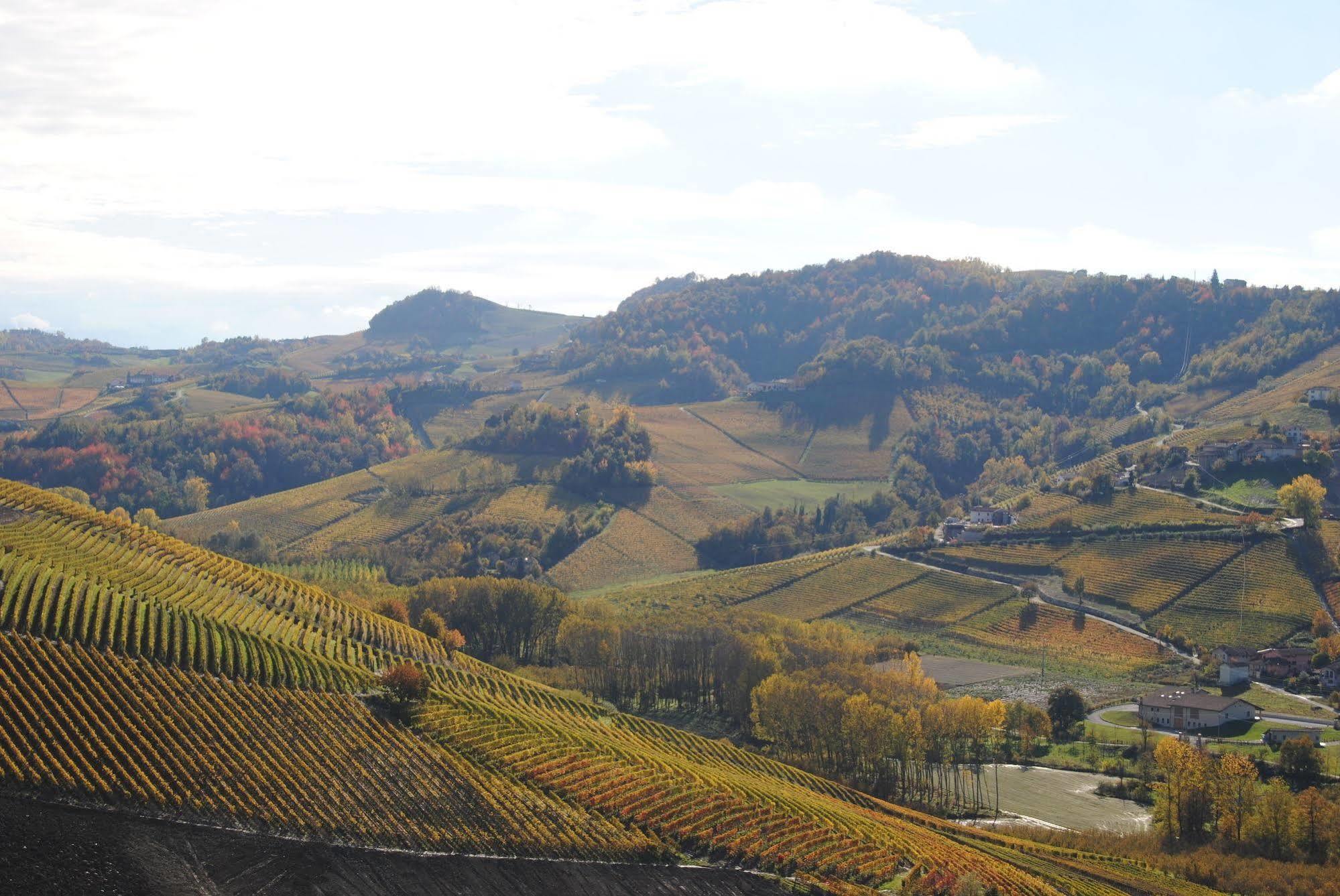 Agriturismo I Grappoli Serralunga d'Alba Luaran gambar